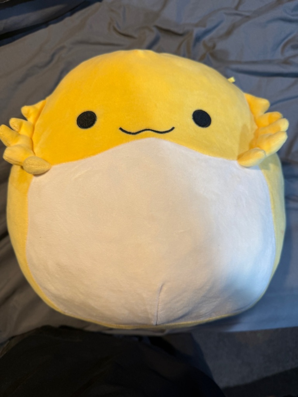 Bertwin the Yellow Bearded Dragon Squishmallow – Original Kellytoy